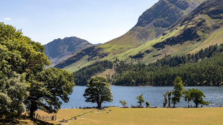 Wilkinsyke Farm in Buttermere Valley, Cumbria, with grazing fields beside the lake and dramatic green fells rising beyond under a clear blue sky.